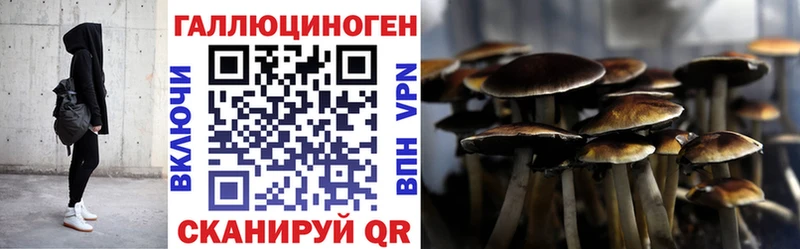 Псилоцибиновые грибы GOLDEN TEACHER  Купить закладки  Новоульяновск 
